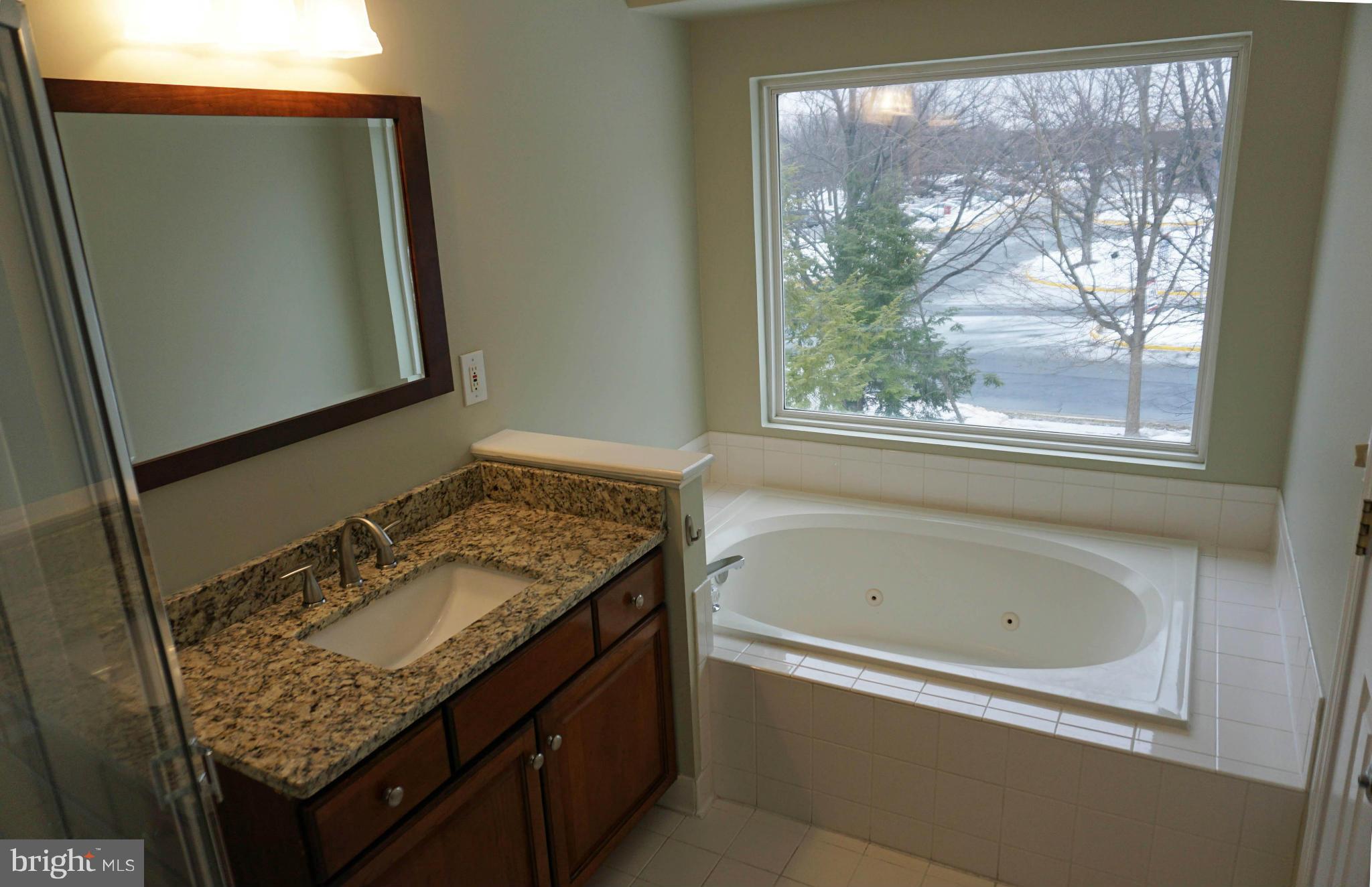 12058 Edgemere Circle Reston, VA 20190 - Photo 18 of 28 Bath (Master)