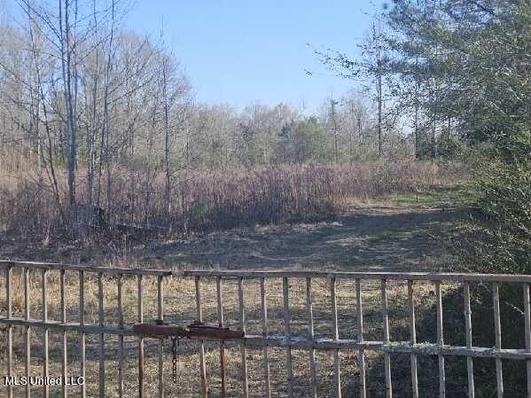 10032 Dentville Road Utica, MS 39175 - Photo 5 of 21 image000004 4