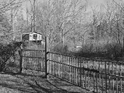 10032 Dentville Road Utica, MS 39175 - Photo 6 of 21 image000005 3