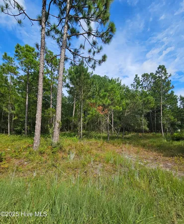 $260,000 | 0 Hines Stump Sound Church Road, Holly Ridge, NC 28445