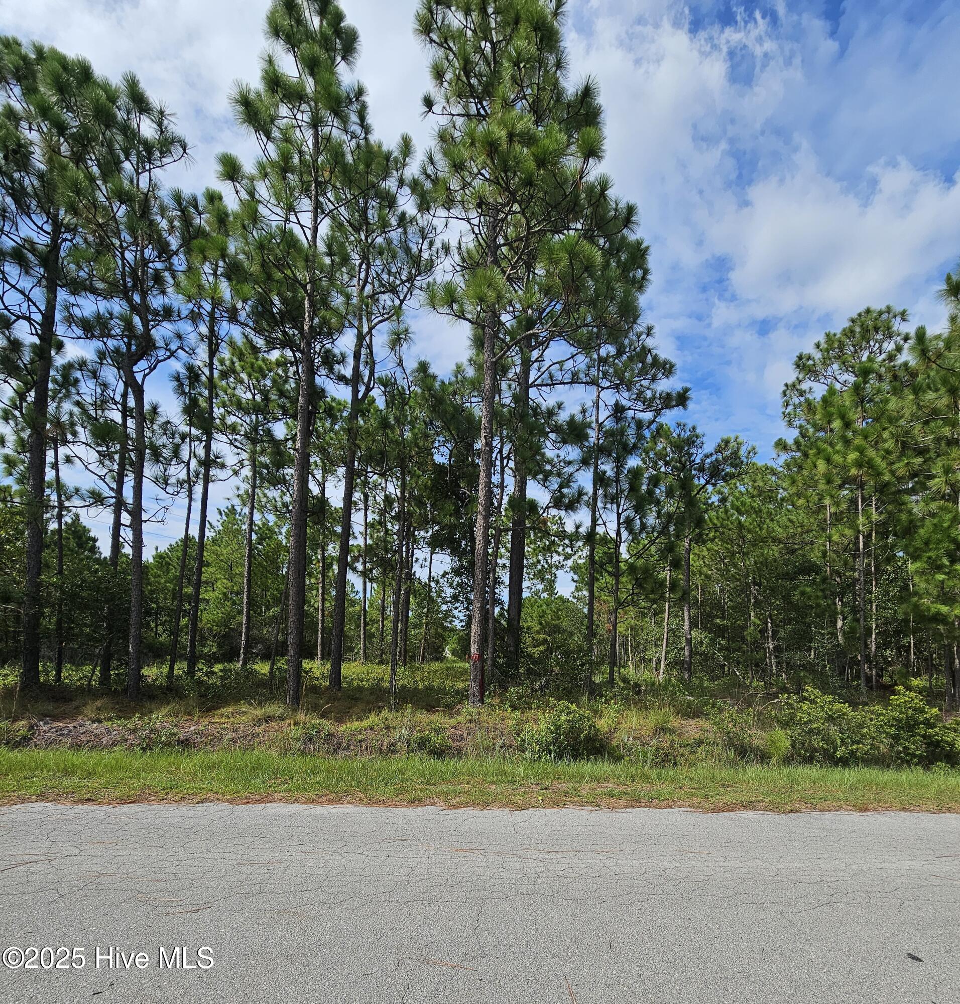0 Hines Stump Sound Church Road Holly Ridge, NC 28445 - Photo 3 of 6 Road View