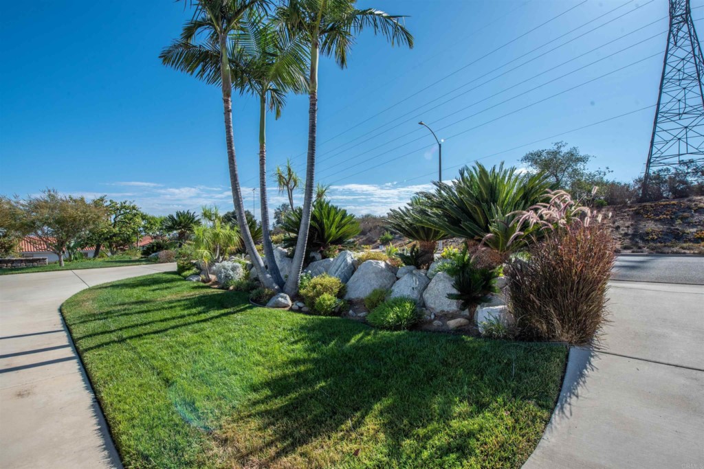28288 Deep Canyon Drive Escondido, CA 92026 - Photo 75 of 75 a view of a garden with a palm tree