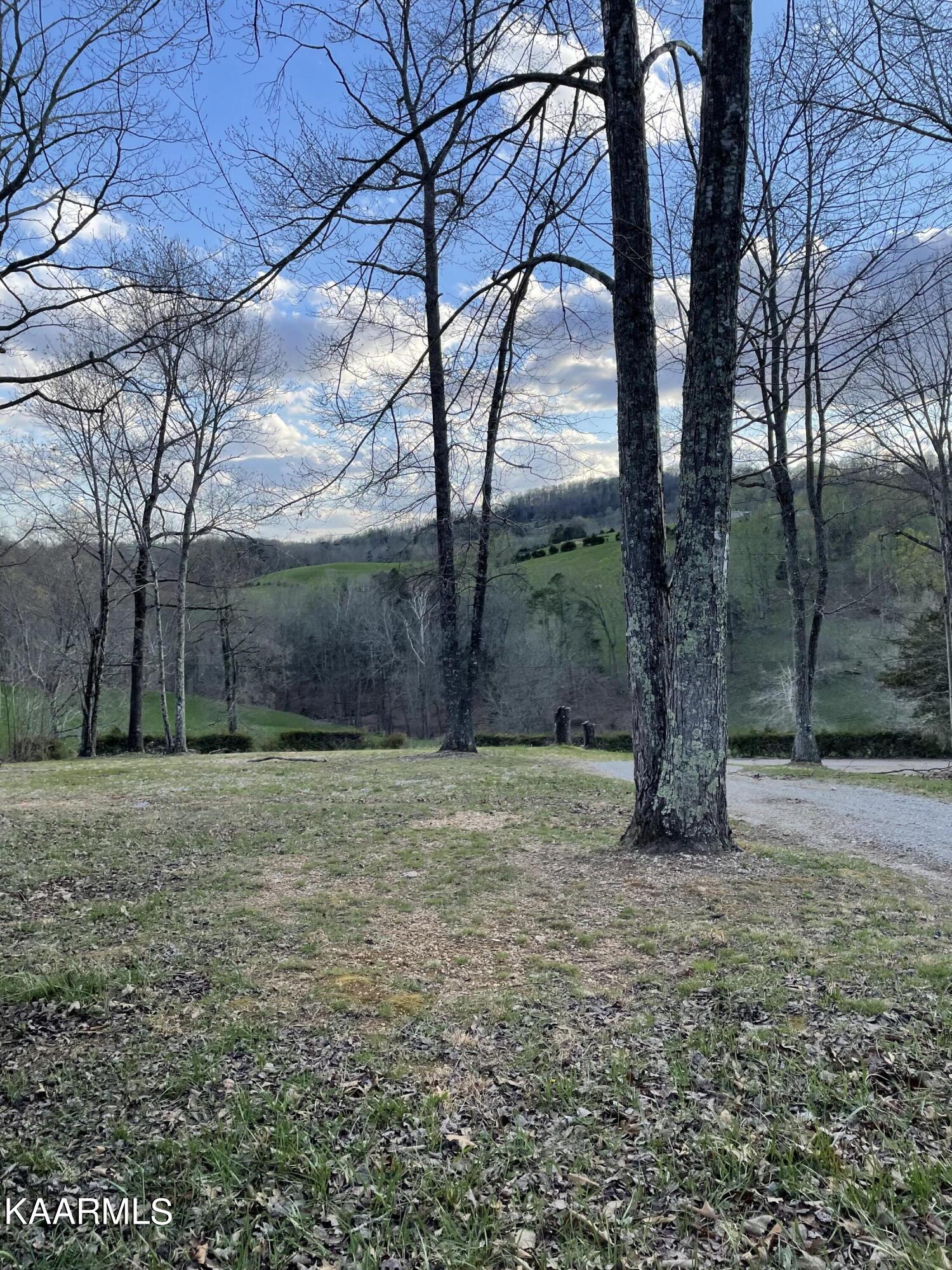 810 Chestnut Grove Road New Tazewell, TN 37825 - Photo 11 of 13 39140974-DF12-4EC1-9297-9383DCDC3F8F