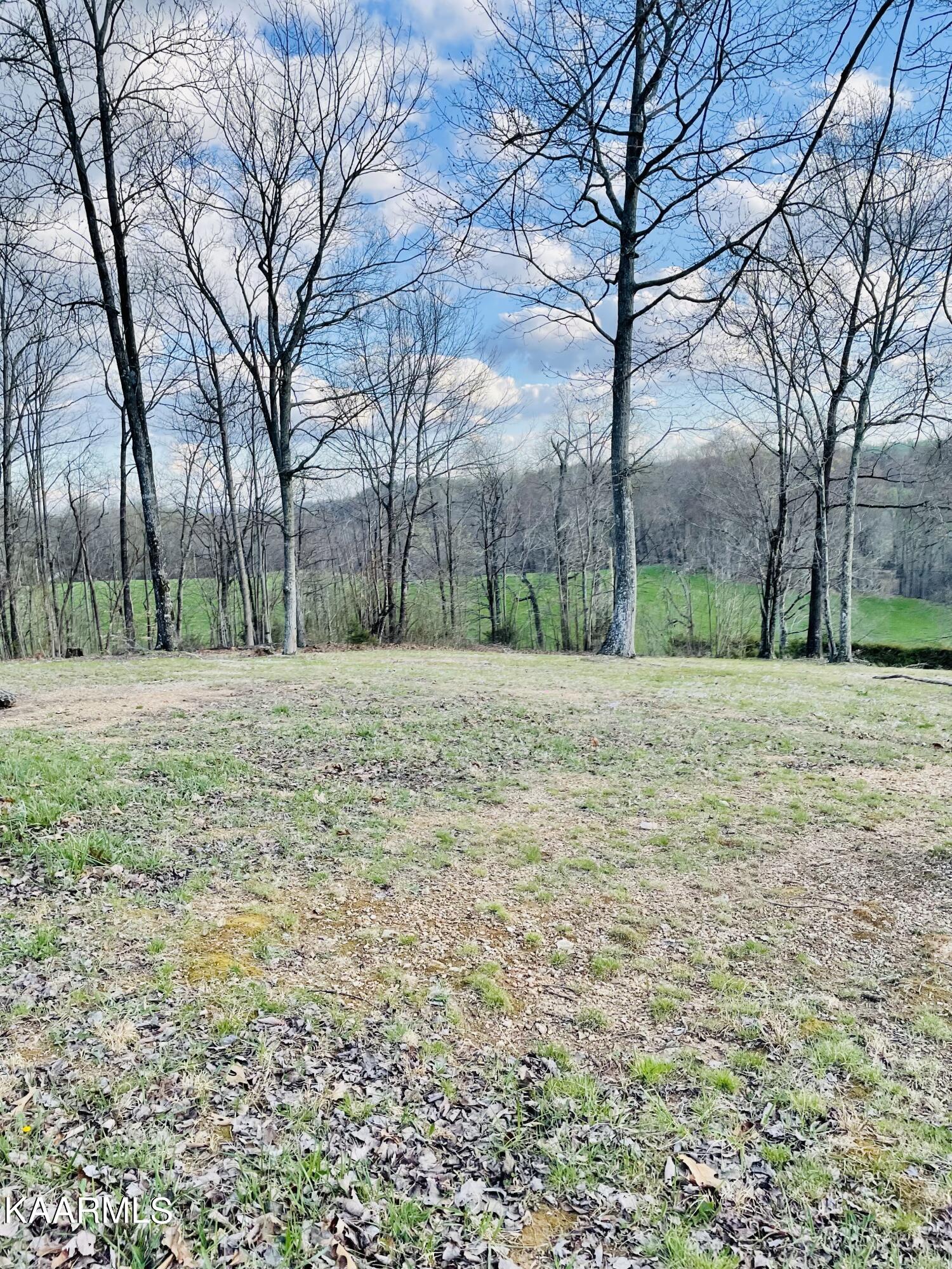 810 Chestnut Grove Road New Tazewell, TN 37825 - Photo 12 of 13 6084A3BC-C3D3-4728-9791-A6A8801AEC74