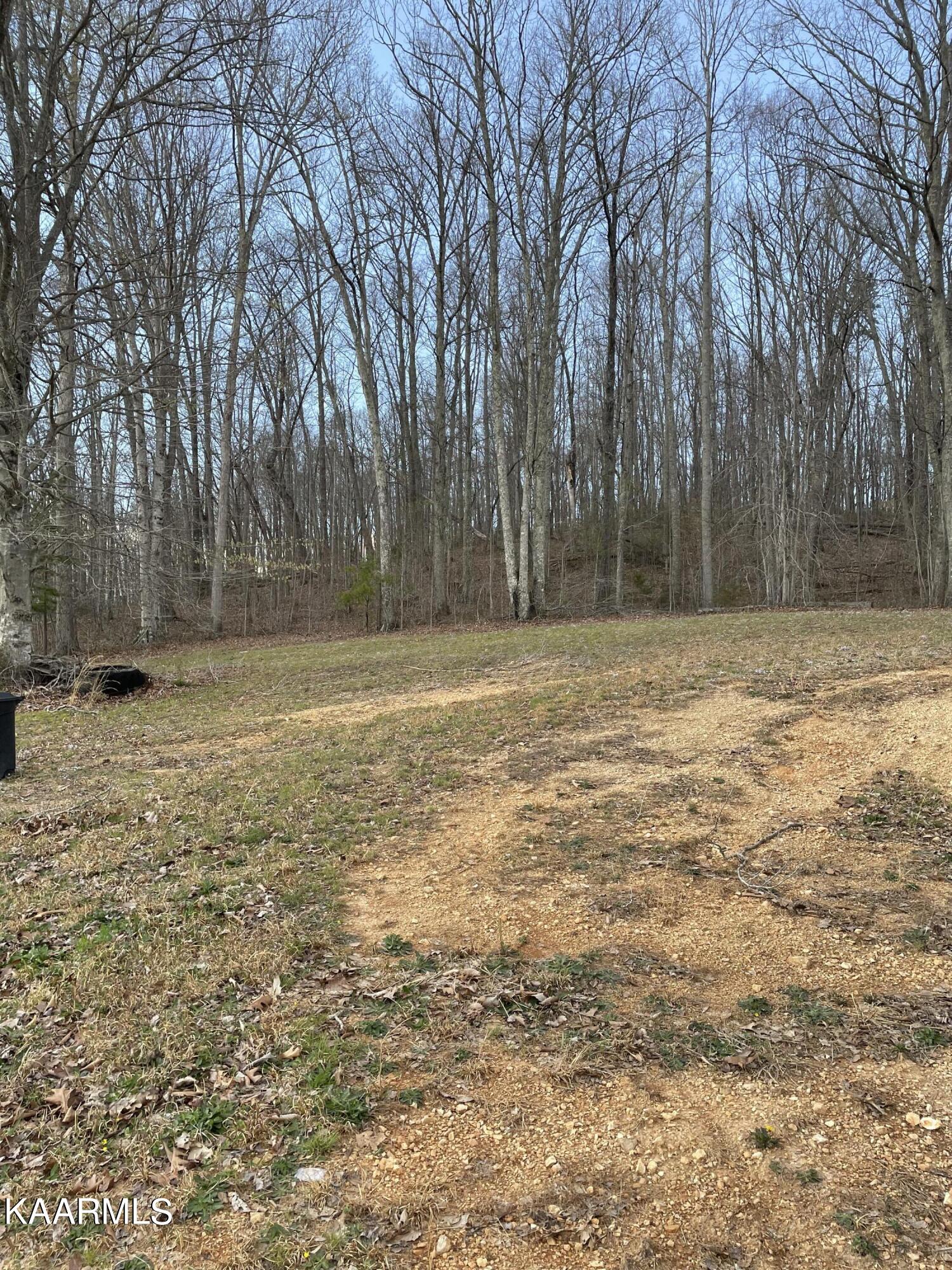 810 Chestnut Grove Road New Tazewell, TN 37825 - Photo 13 of 13 8886192E-5D43-4885-9D45-3232A85A694A