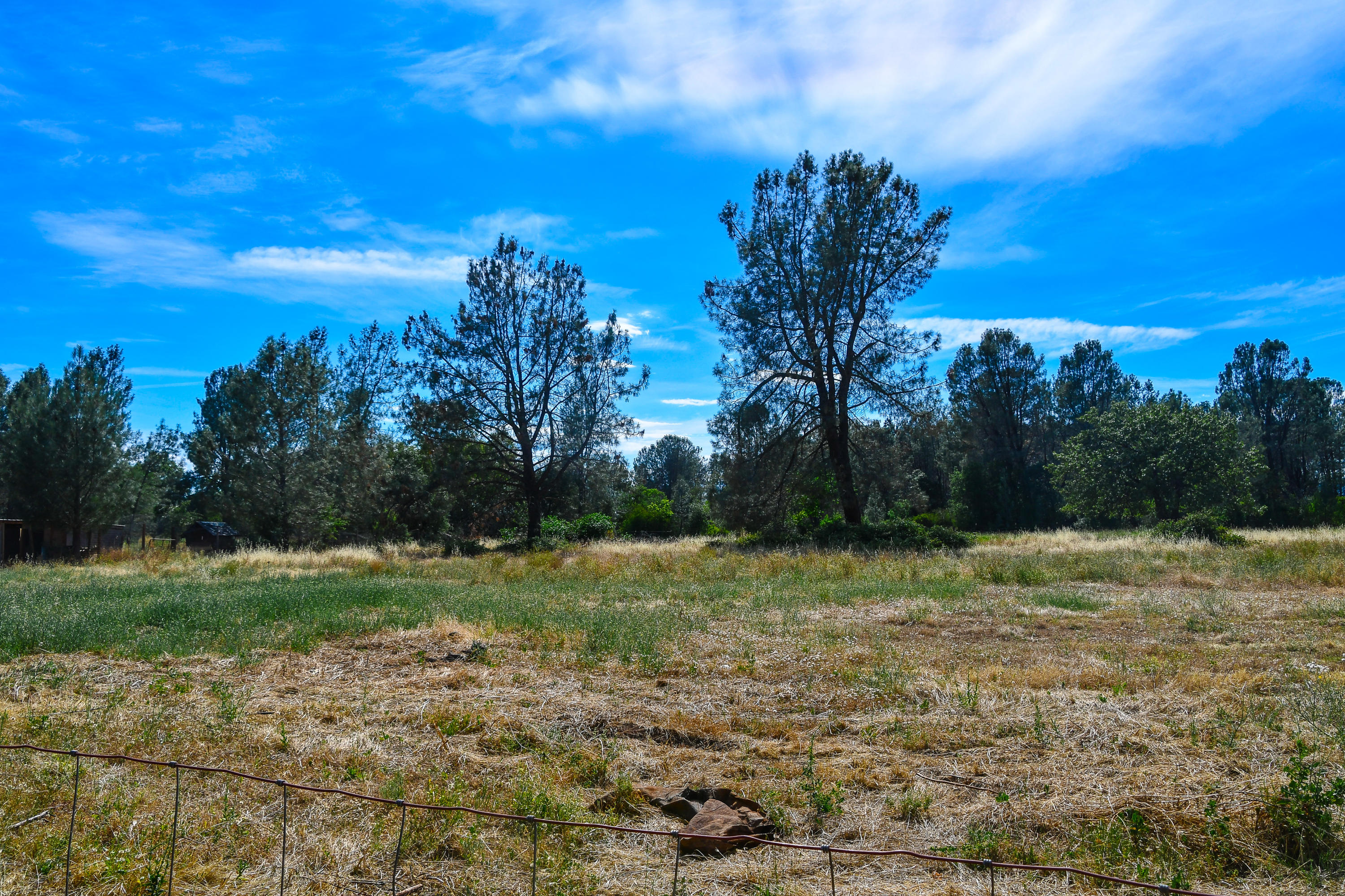 5614 Monte Vista Road Anderson, CA 96007 - Photo 23 of 25 DSC_1367