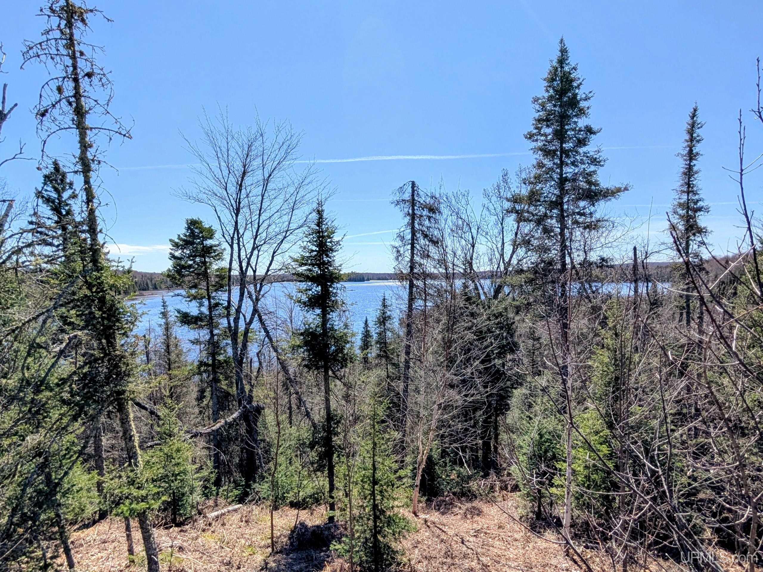 8-acres East Cable Lake Road Crystal Falls, MI 49920 - Photo 3 of 20