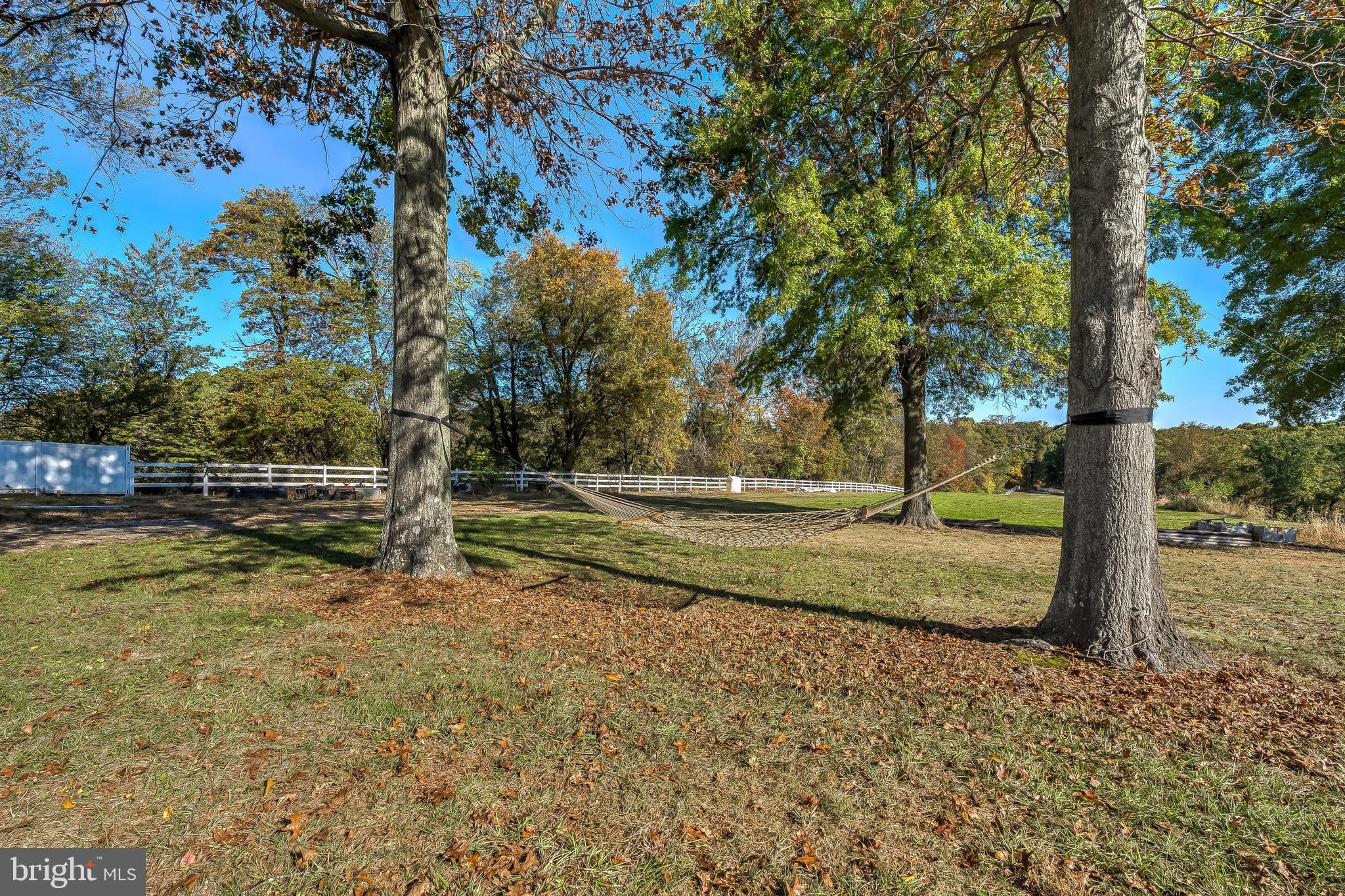 17706 Old Frederick Road Mount Airy, MD 21771 - Photo 50 of 60 Hammock