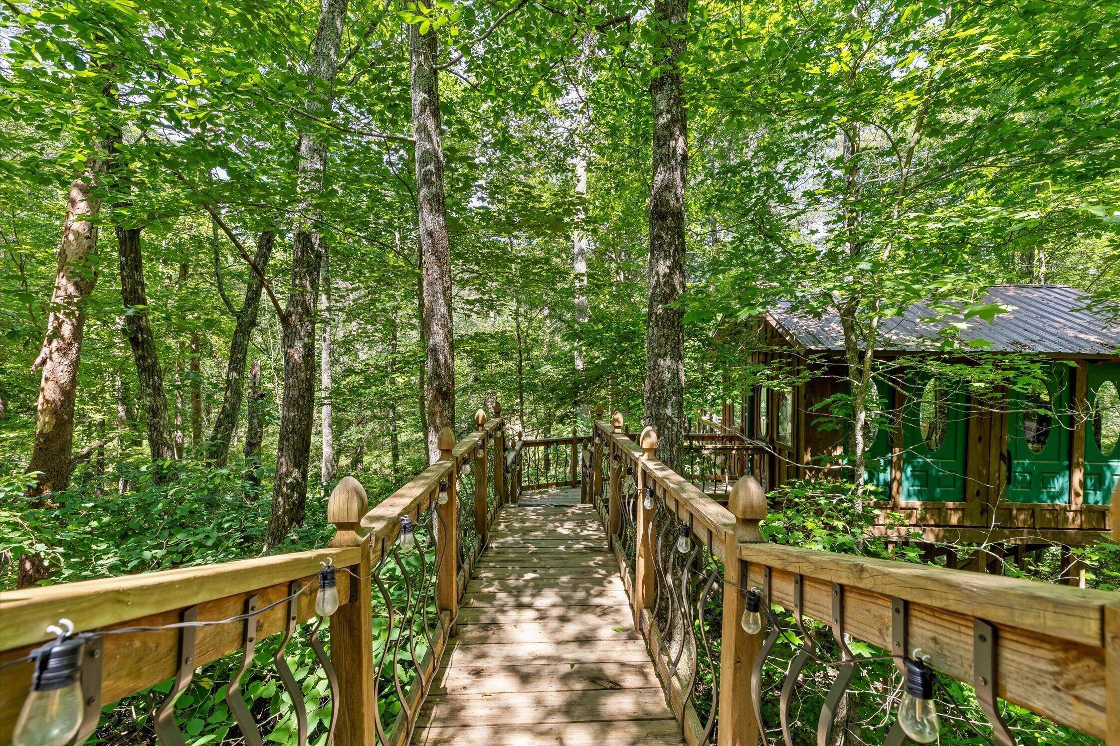 390 Moon Lake Road Mentone, AL 35984 - Photo 45 of 60 51-Moon Lake-50