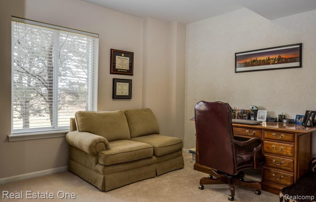 3093 Silverbrook Drive Rochester, MI 48306 - Photo 28 of 39 24 3093 Silverbrook, Oakland TWP Mi, Koteles, 03-23-15-924_enfused.jpg