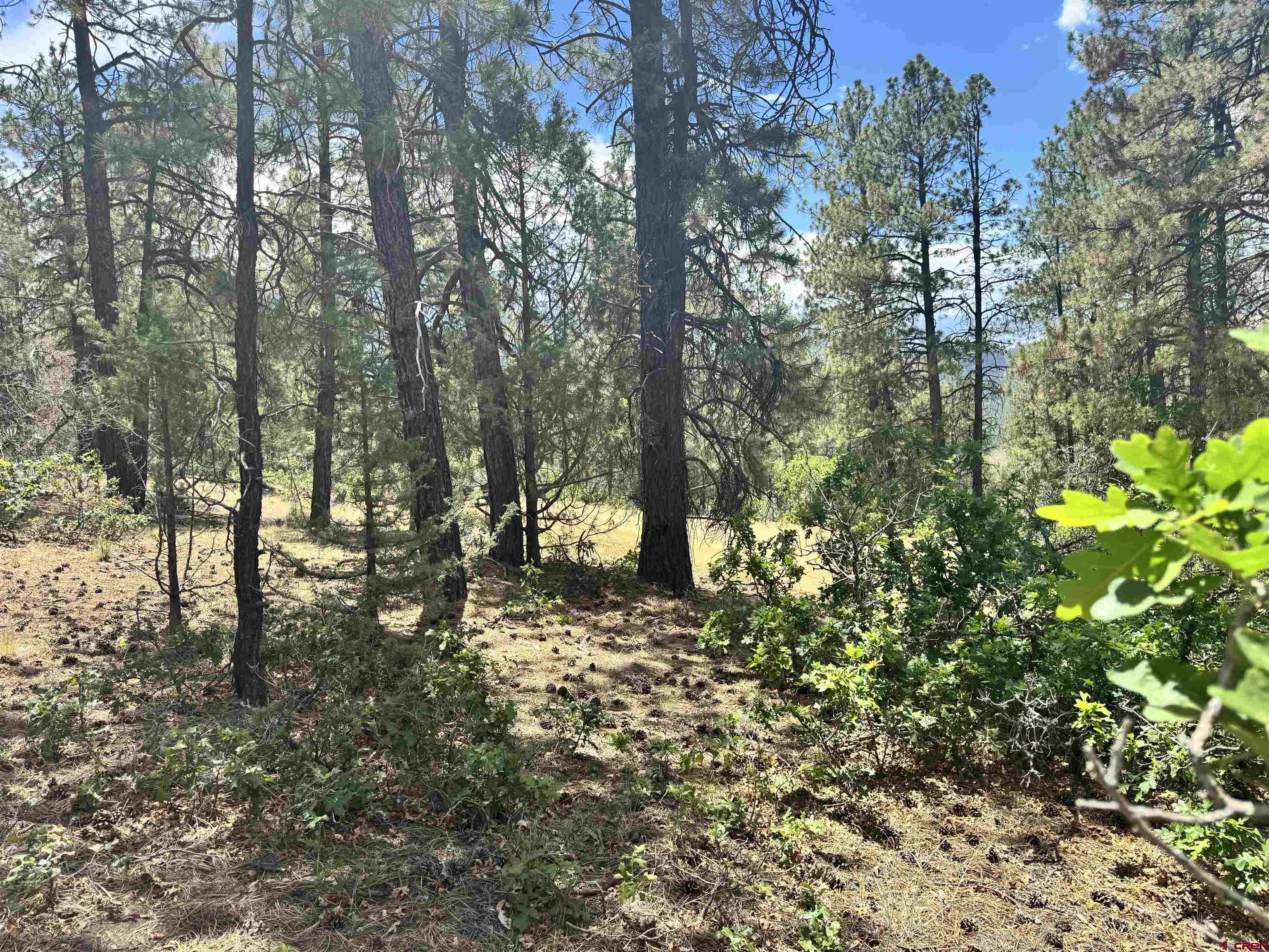 1259 Westview Road Pagosa Springs, CO 81147 - Photo 20 of 29