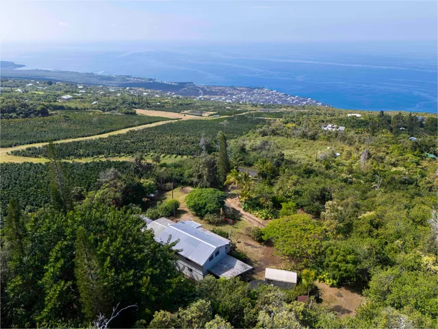 an aerial view of residential houses with outdoor space and trees