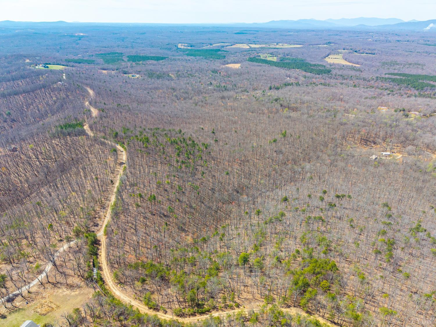 0 Larkin Mountain Road Amherst, VA 24521 - Photo 19 of 35