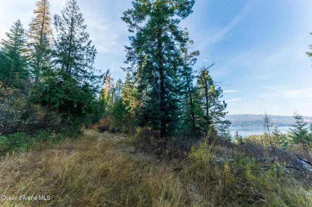 $1,100,000 | Nka 39-ac Half Round Bay Road, Harrison, ID 83833