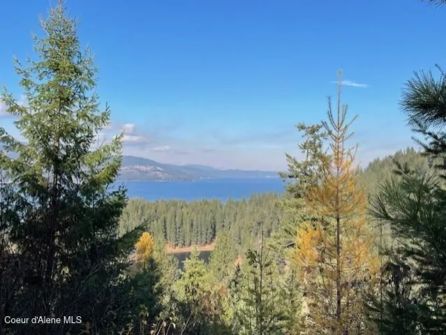 $1,100,000 | Nka 39-ac Half Round Bay Road, Harrison, ID 83833