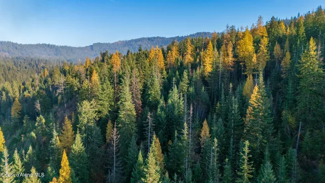 $1,100,000 | Nka 39-ac Half Round Bay Road, Harrison, ID 83833