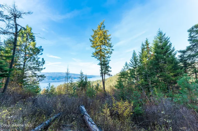 $1,100,000 | Nka 39-ac Half Round Bay Road, Harrison, ID 83833