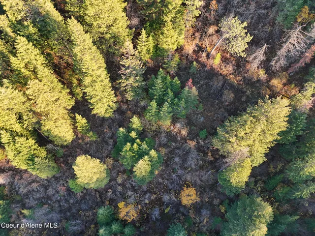 $1,100,000 | Nka 39-ac Half Round Bay Road, Harrison, ID 83833