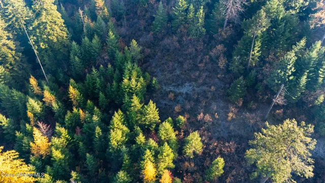 $1,100,000 | Nka 39-ac Half Round Bay Road, Harrison, ID 83833