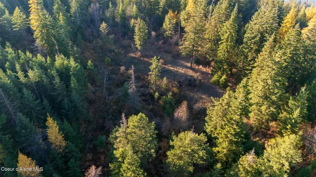 $1,100,000 | Nka 39-ac Half Round Bay Road, Harrison, ID 83833
