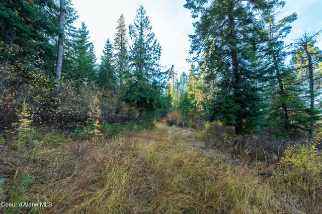 $1,100,000 | Nka 39-ac Half Round Bay Road, Harrison, ID 83833