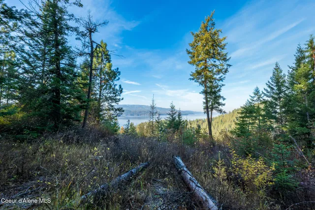 $1,100,000 | Nka 39-ac Half Round Bay Road, Harrison, ID 83833