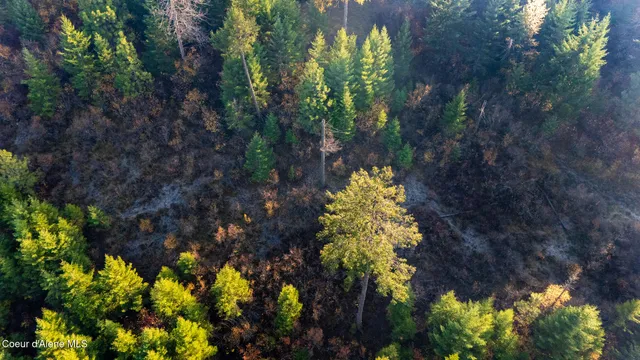 $1,100,000 | Nka 39-ac Half Round Bay Road, Harrison, ID 83833