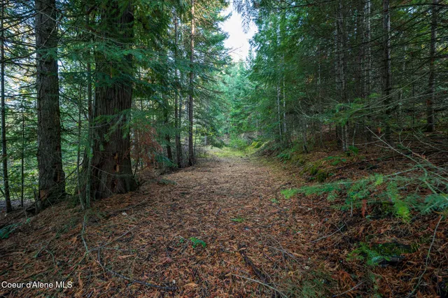 $1,100,000 | Nka 39-ac Half Round Bay Road, Harrison, ID 83833