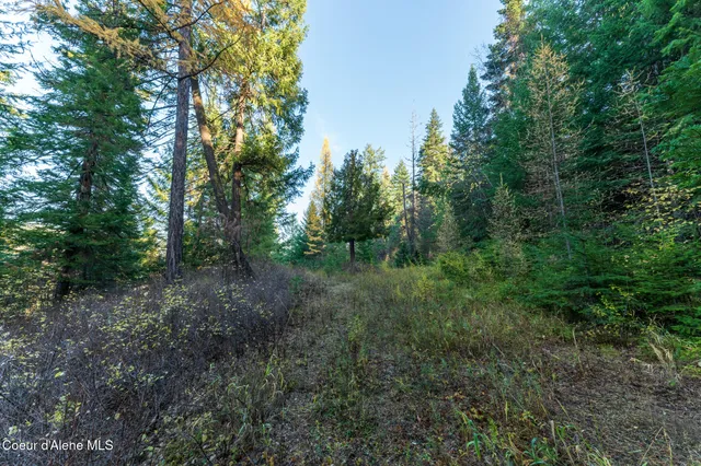 $1,100,000 | Nka 39-ac Half Round Bay Road, Harrison, ID 83833
