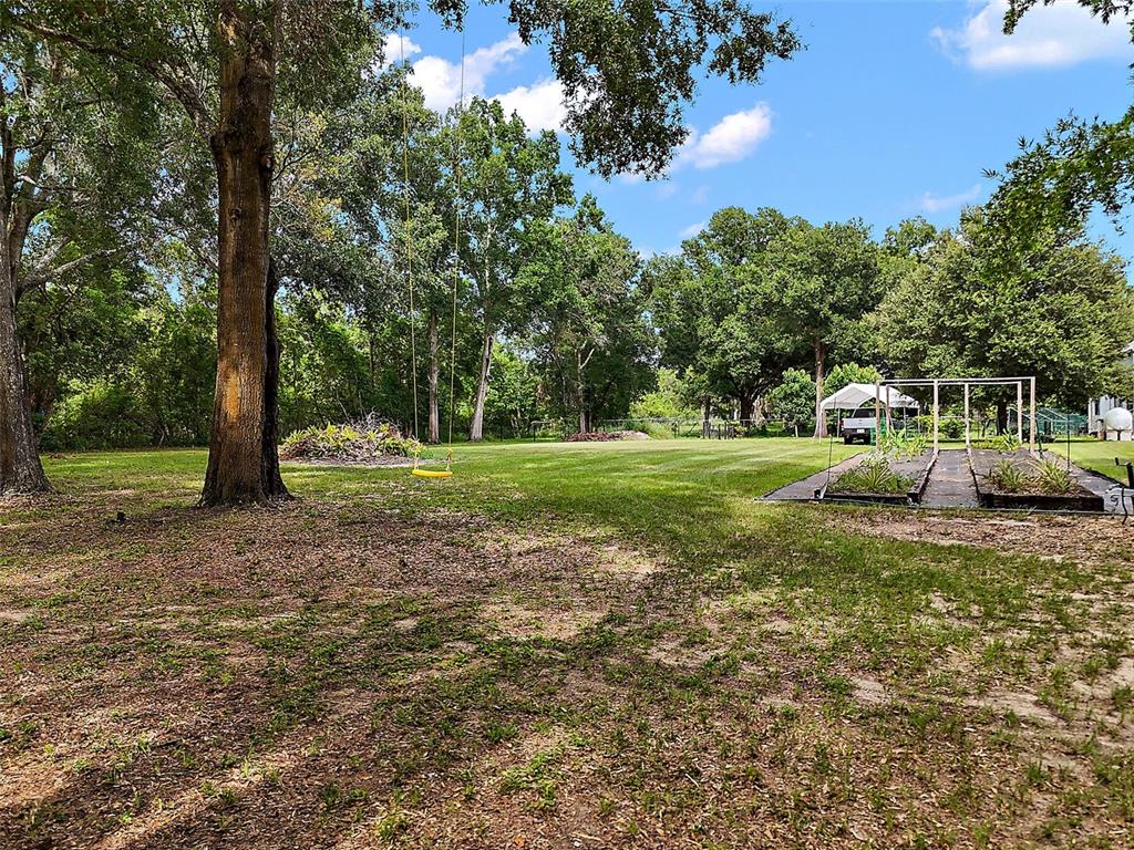 Allen St Mount Mount Dora, FL 32757 - Photo 1 of 14 a view of a park with large trees