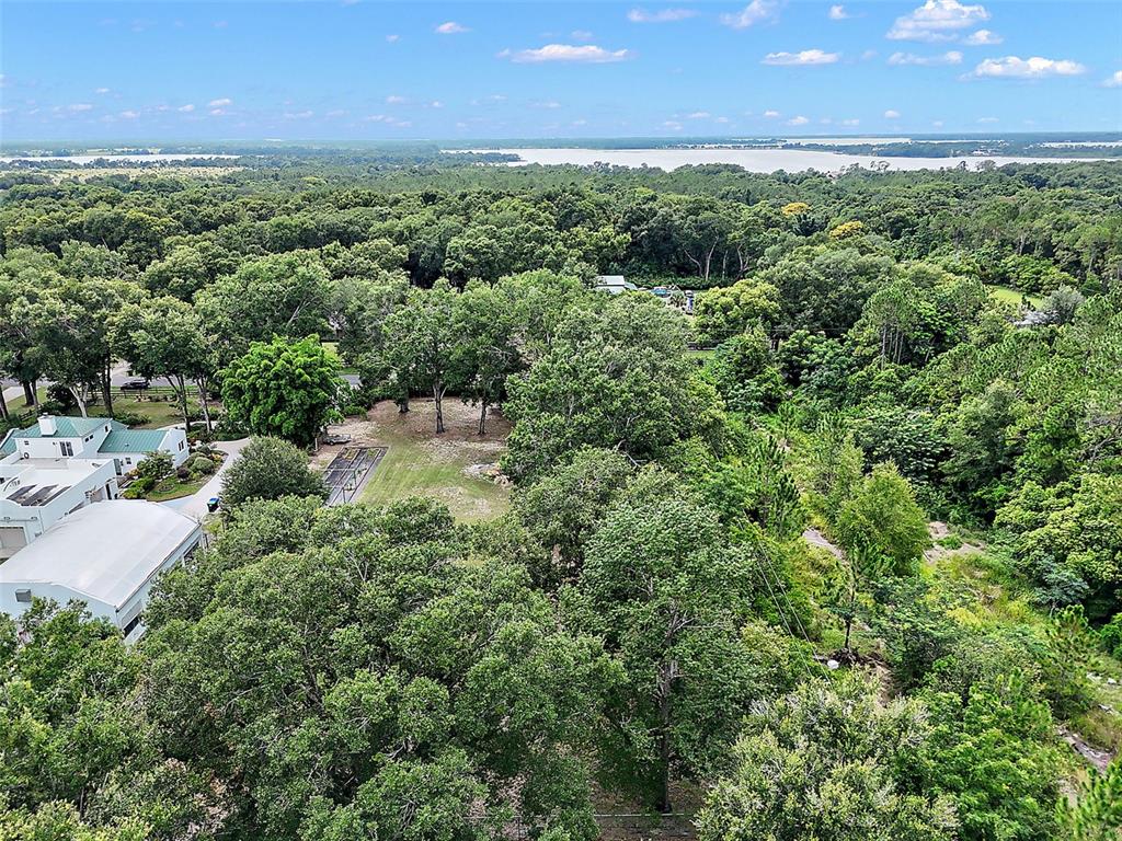 Allen St Mount Mount Dora, FL 32757 - Photo 12 of 14 an aerial view of a houses with a yard and lake view