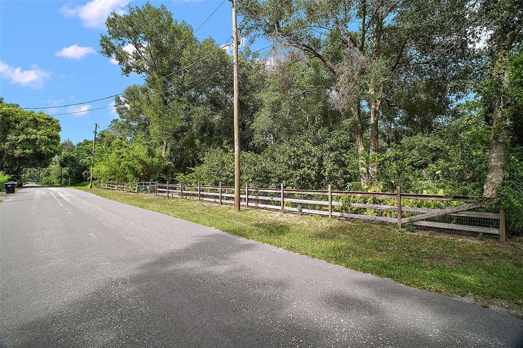 Allen St Mount Mount Dora, FL 32757 - Photo 3 of 14 a view of a park with large trees