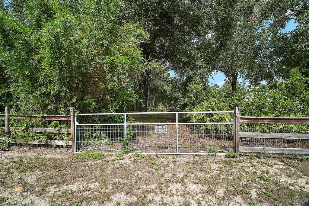 Allen St Mount Mount Dora, FL 32757 - Photo 4 of 14 a backyard of a house with lots of green space and plants