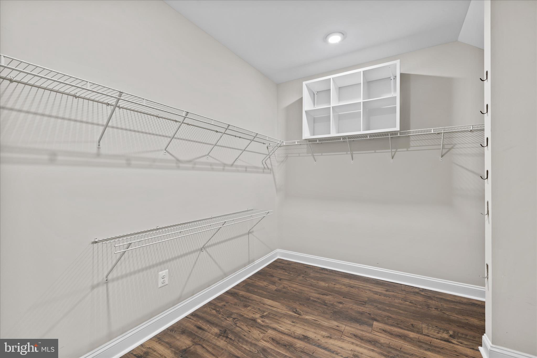 26679 Weathervane Way Frankford, DE 19945 - Photo 24 of 64 generous Walk-in Closet