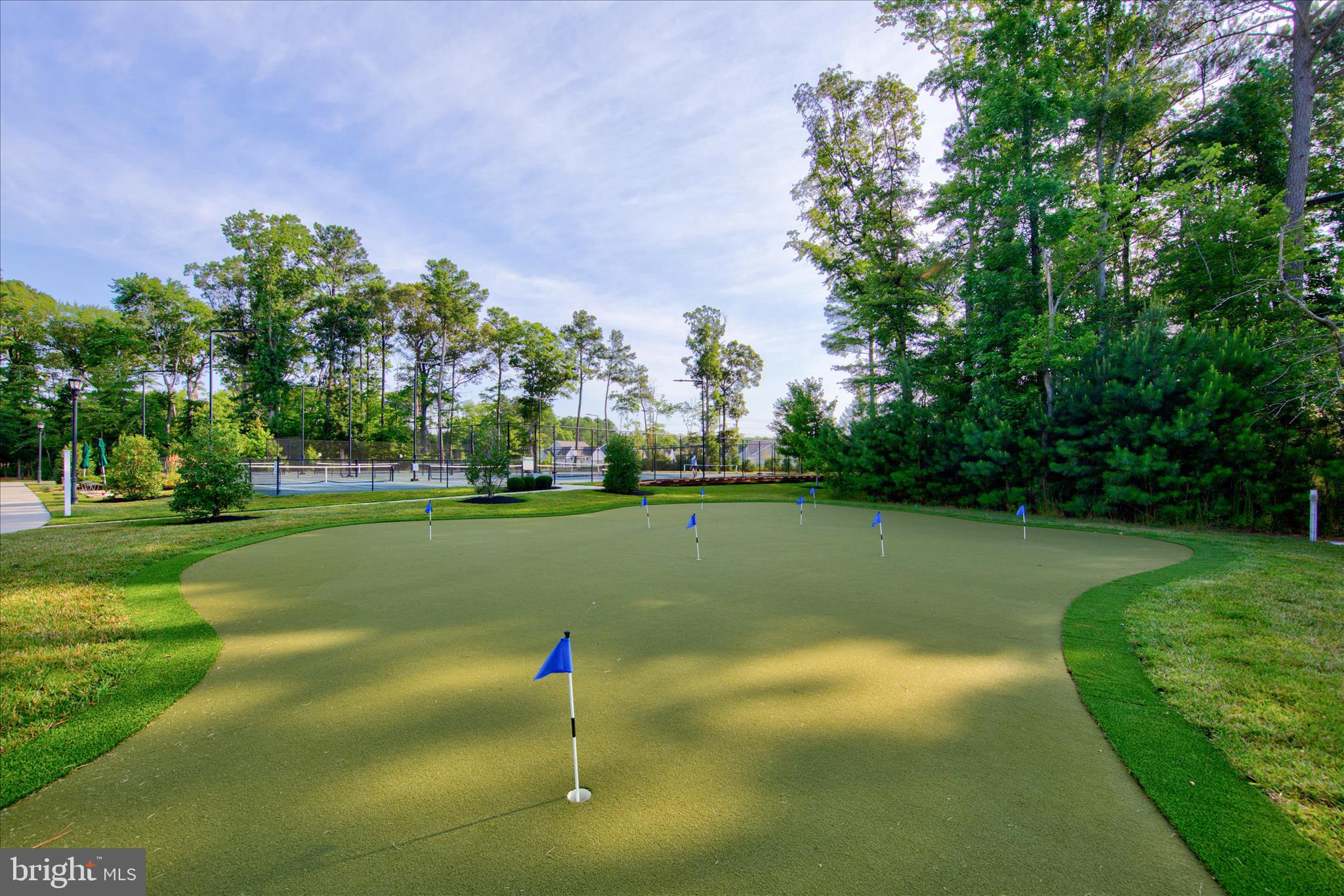 26679 Weathervane Way Frankford, DE 19945 - Photo 59 of 64 Putting Green