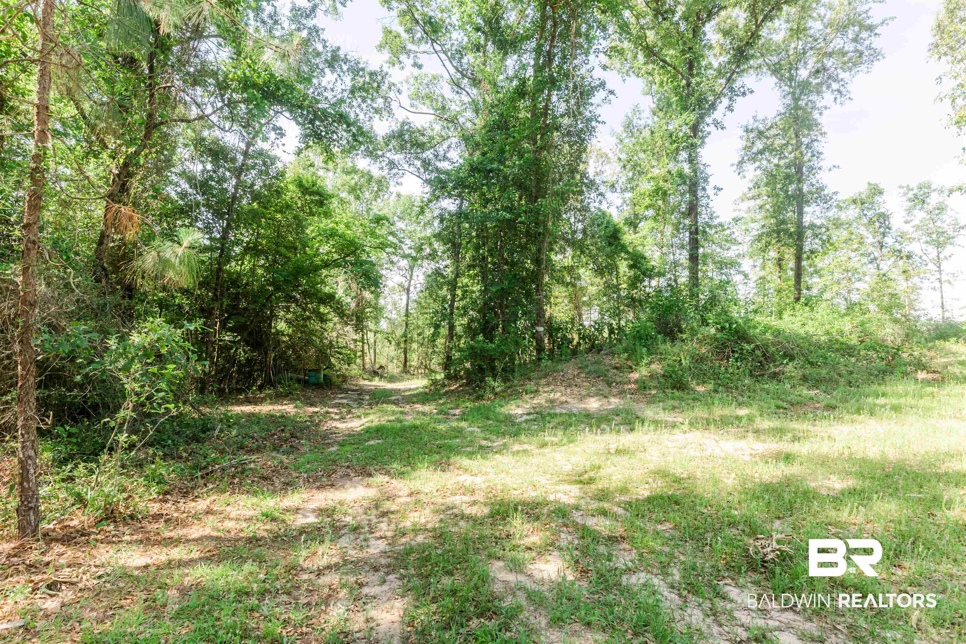 8255 A Bluett Tanner Road Wilmer, AL 36587 - Photo 17 of 27