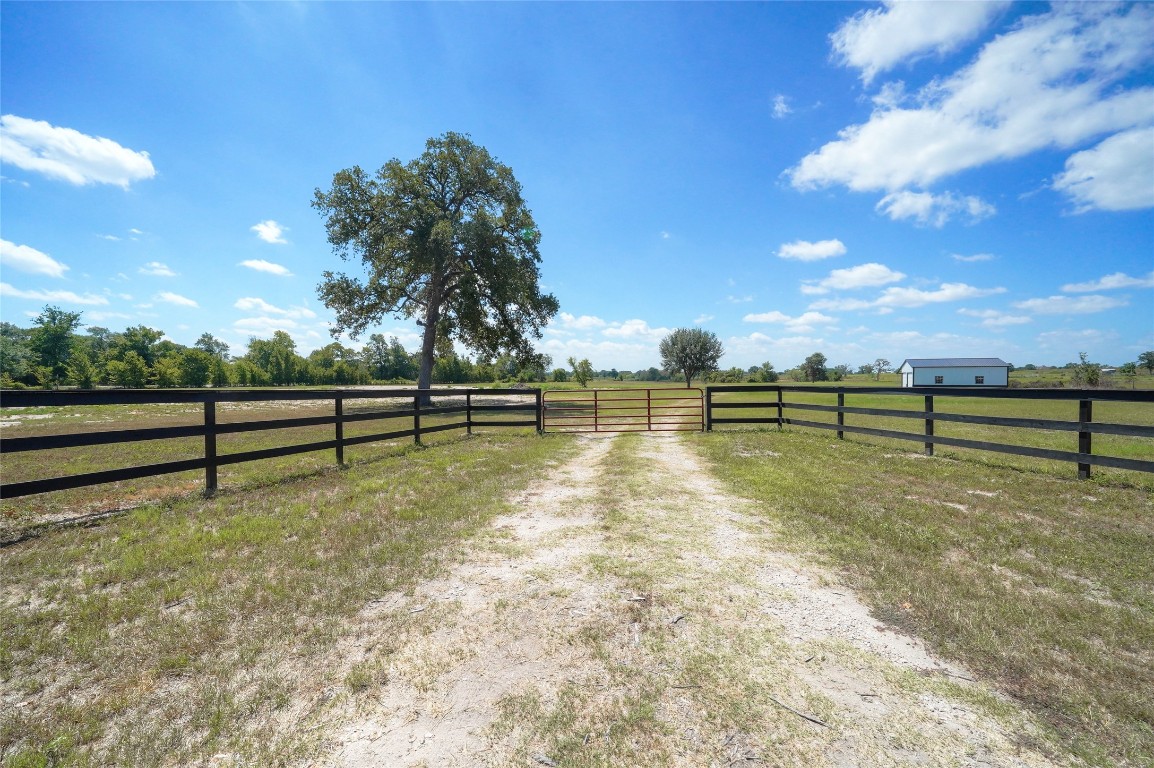 33083 Fm 1736 Road Hempstead, TX 77445 - Photo 5 of 20 a view of a yard with wooden fence