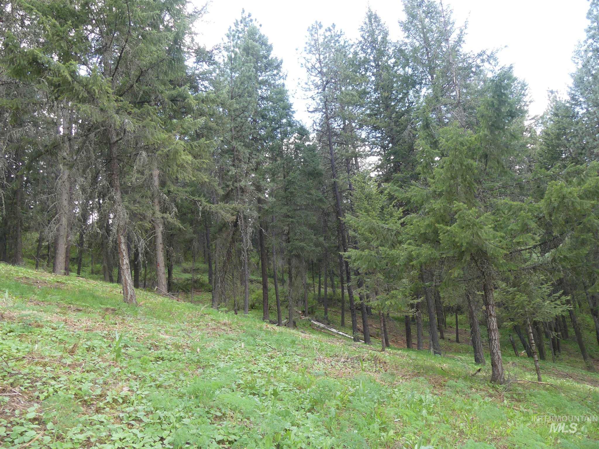 22743 Old Melrose Grade Road Peck, ID 83545 - Photo 30 of 45