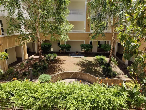 a view of a yard with plants