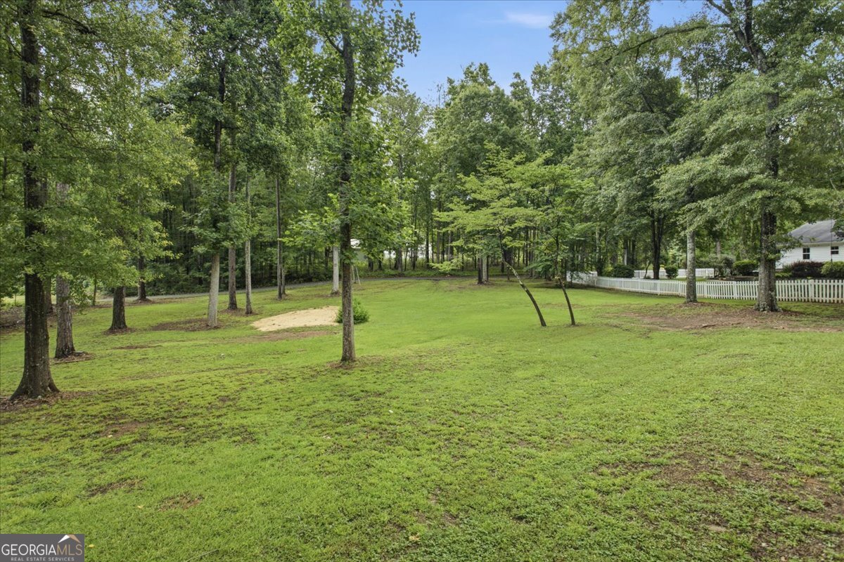 267 Joe Cox Road Sharpsburg, GA 30277 - Photo 76 of 83