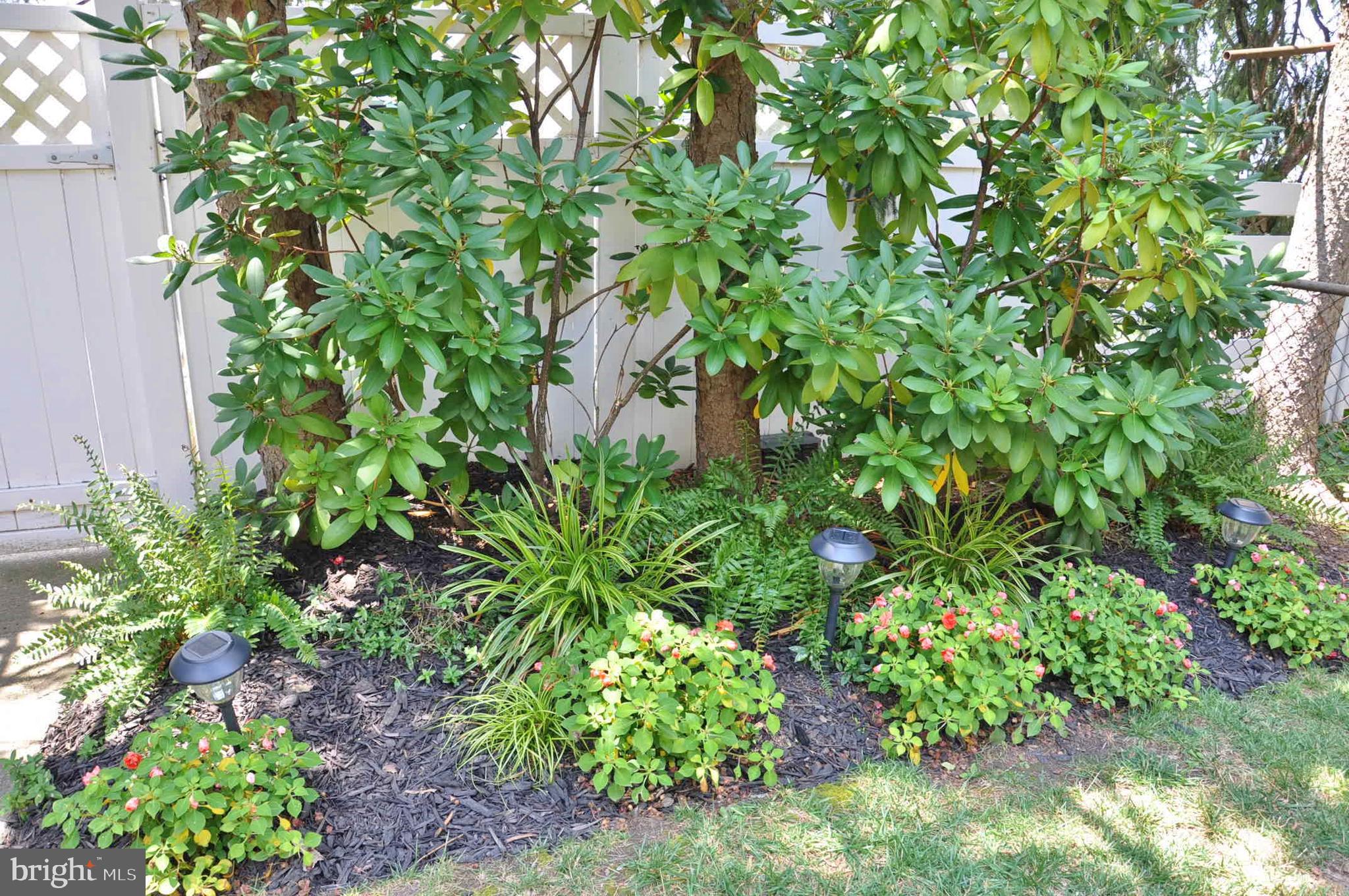 914 Radcliffe Road Towson, MD 21204 - Photo 29 of 84 Gallery Image 29