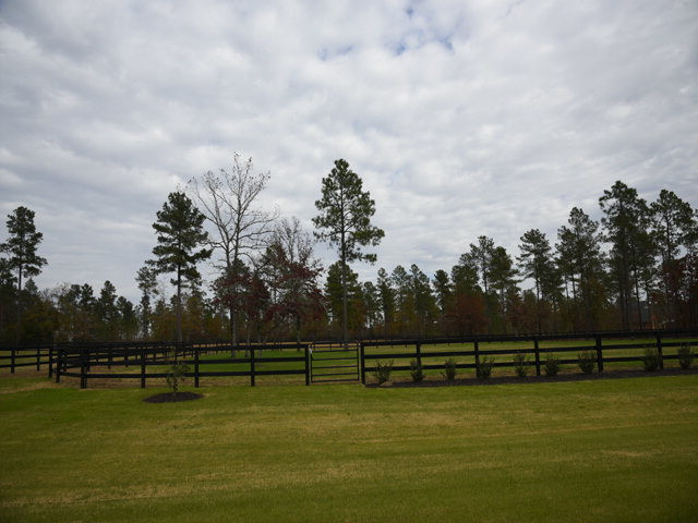 494 Dasher Circle Aiken, SC 29803 - Photo 12 of 21