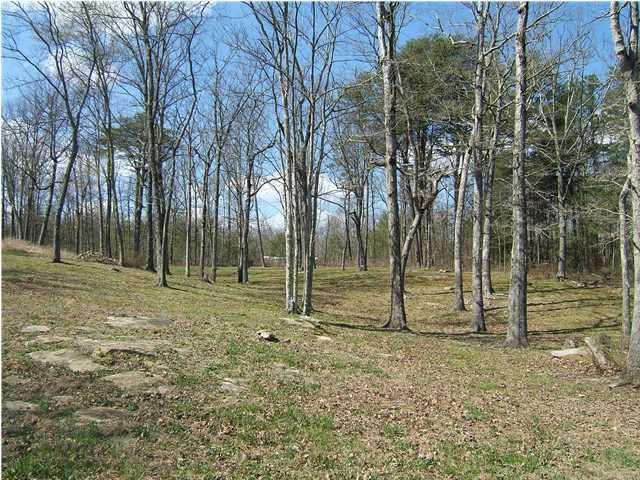 3115 Lewis Chapel Road Graysville, TN 37338 - Photo 18 of 18 Additional Photo