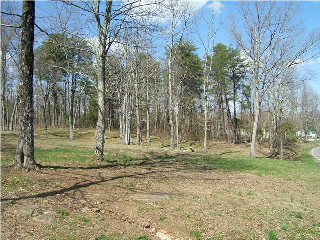 3115 Lewis Chapel Road Graysville, TN 37338 - Photo 9 of 18 Additional Photo