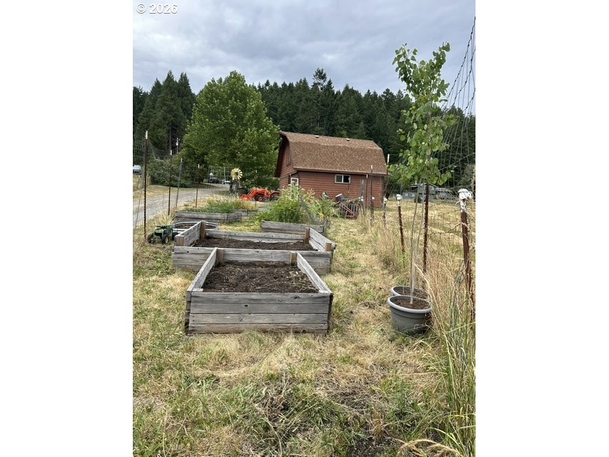 38481 Cartwright Creek Road Marcola, OR 97454 - Photo 45 of 46 Garden