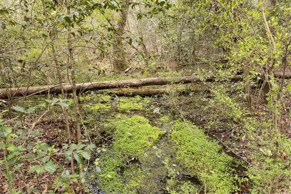 $980,000 | 0 Reagan Road, Dawsonville, GA 30534