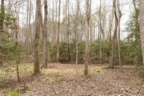 $980,000 | 0 Reagan Road, Dawsonville, GA 30534