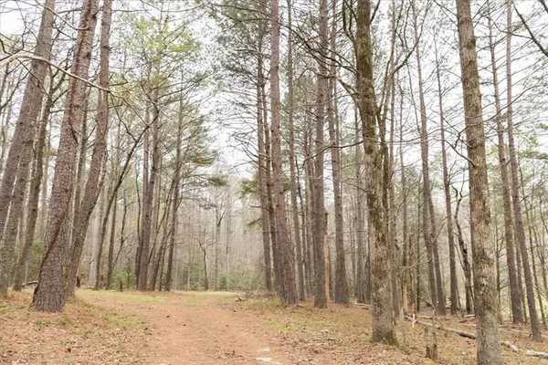 $980,000 | 0 Reagan Road, Dawsonville, GA 30534