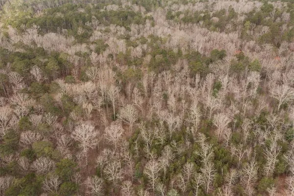 $980,000 | 0 Reagan Road, Dawsonville, GA 30534