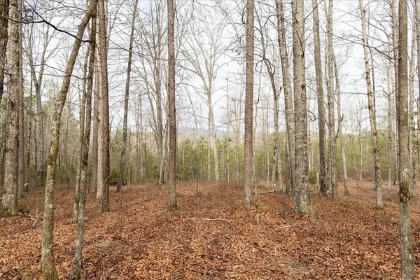 $980,000 | 0 Reagan Road, Dawsonville, GA 30534